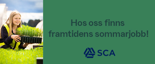 Är du skogstokig? Lööv-ly! Vi har sommarjobb.