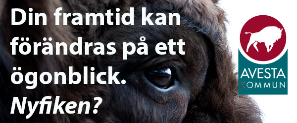 Tillsammans gör vi skillnad varje dag – vill du vara med?