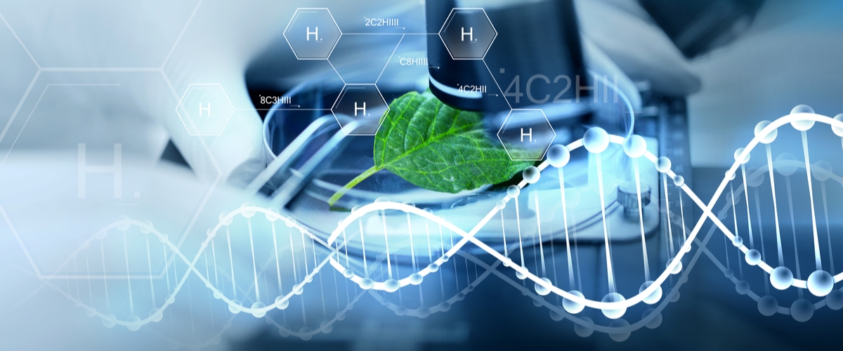 Civilingenjör inom bioteknik