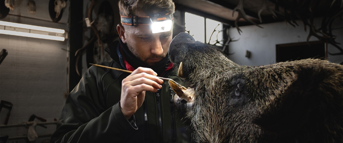 Taxidermist