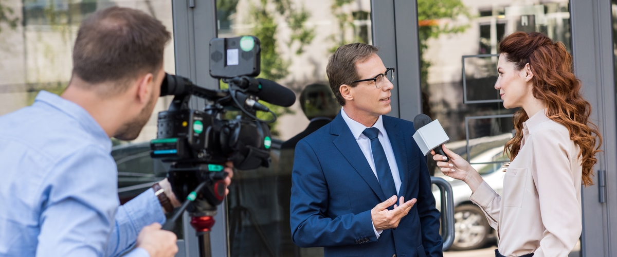 Journalist / Reporter