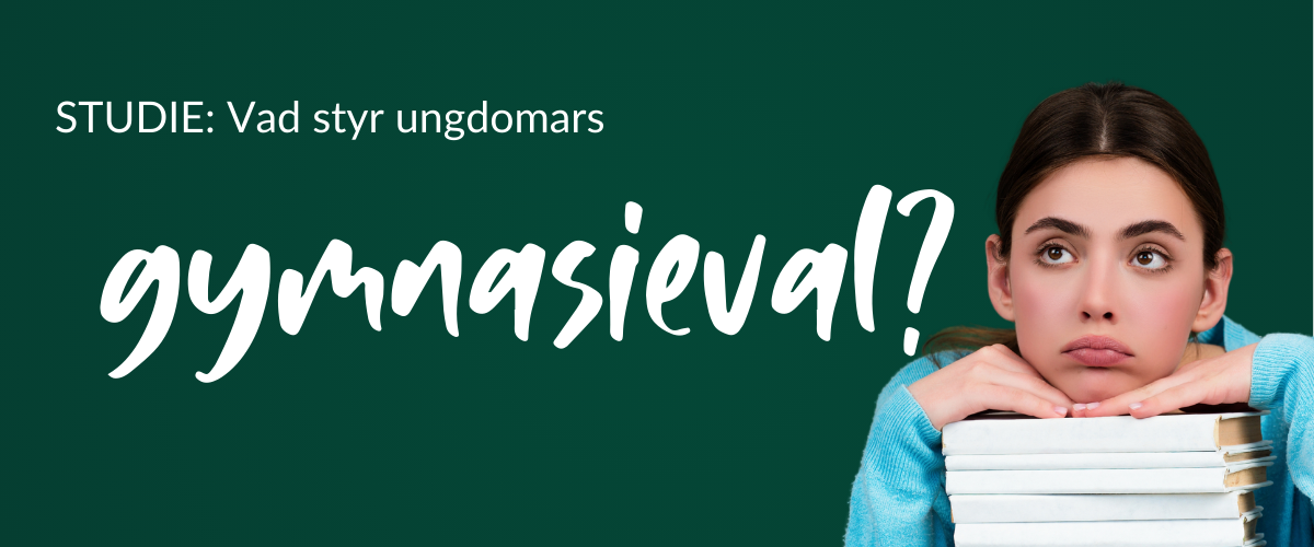 Skolverkets nya studie: Ungdomars gymnasieval styrs sällan av arbetsmarknadens behov