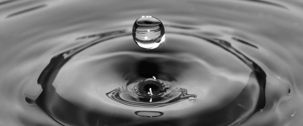 Hydrolog