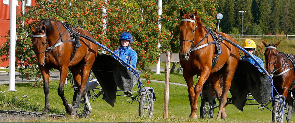 Jämtlands Gymnasium Wången