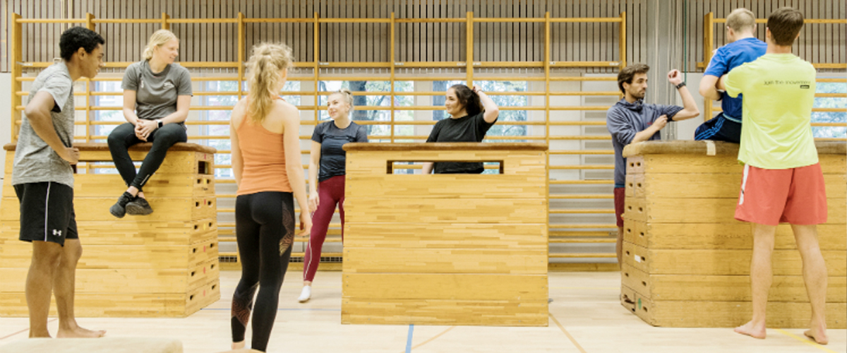 Gymnastik- och idrottshögskolan, GIH