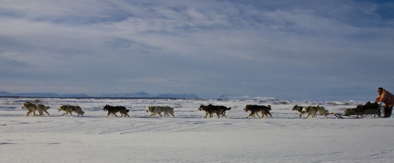 Hundspannsguide
