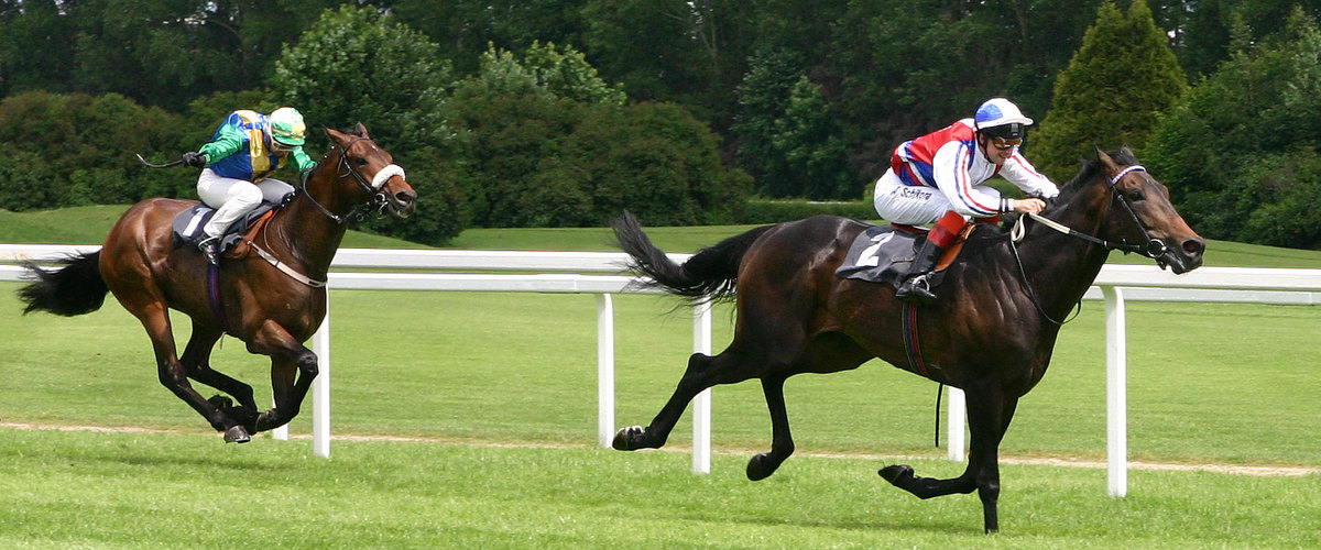Jockey