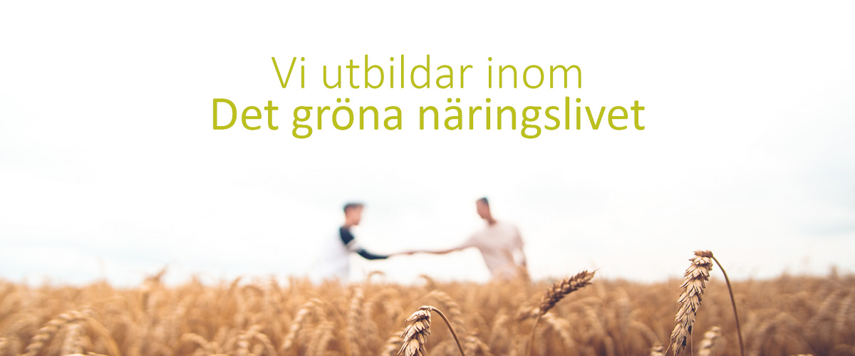Naturbruksförvaltningen - Uppdragsutbildning