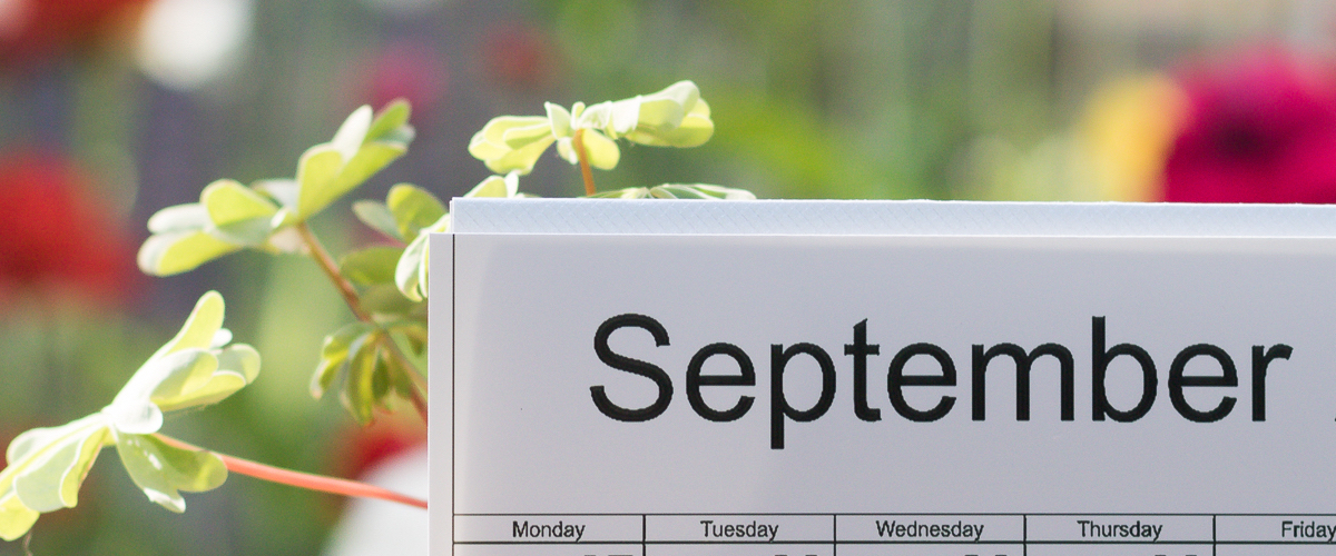 Temadagar i september