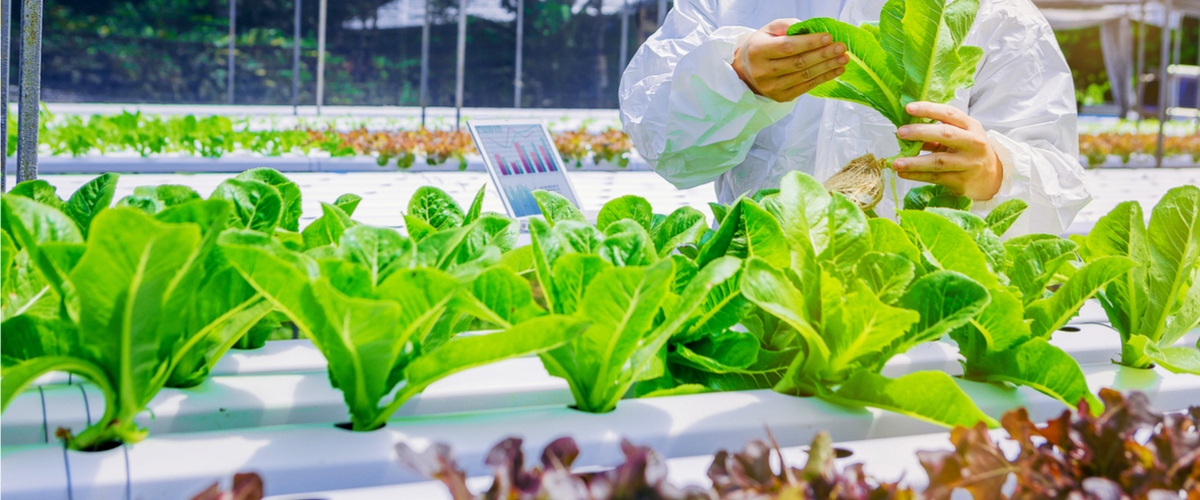 Agrotekniker