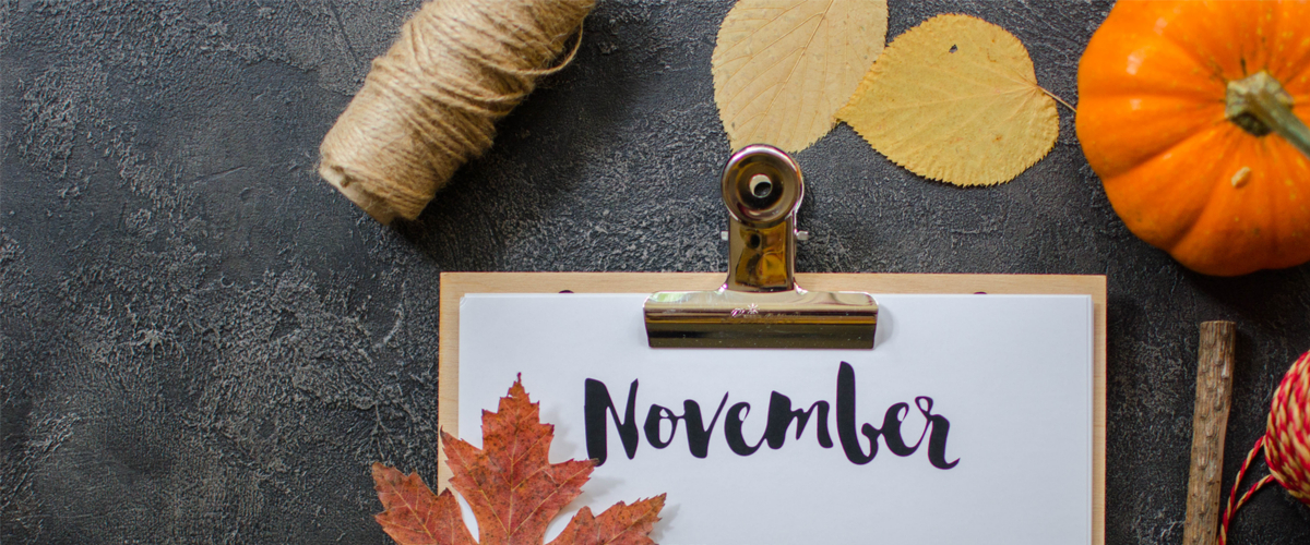 Temadagar i november