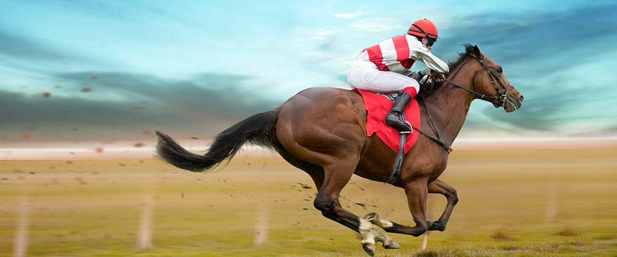 Jockey