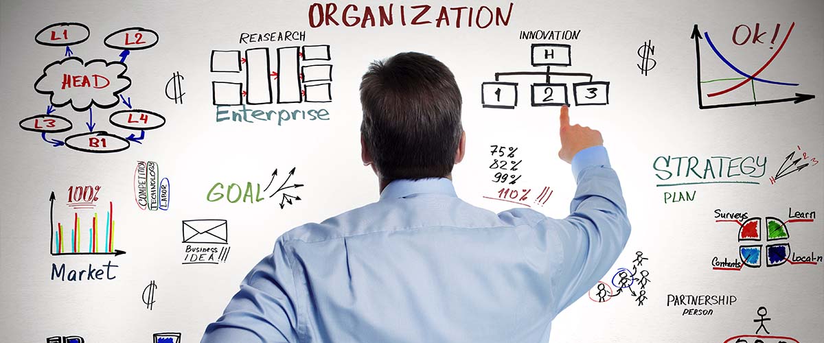 Organisationsutvecklare