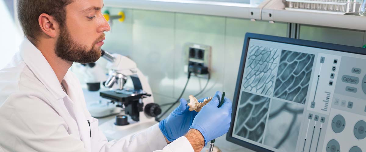 Bioarkeolog