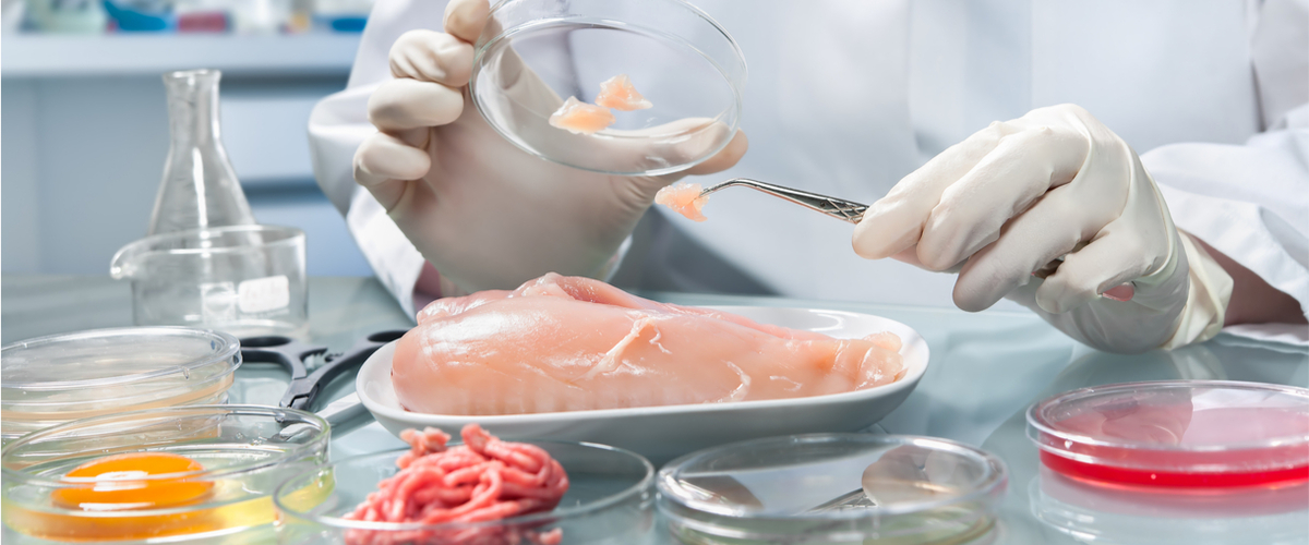 Nutritionsepidemiolog