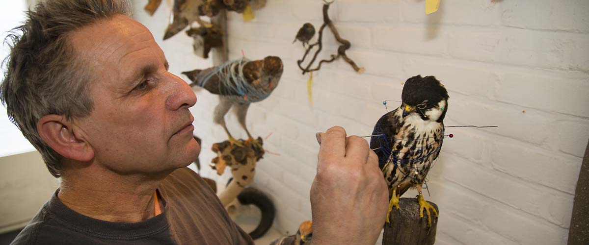 Taxidermist