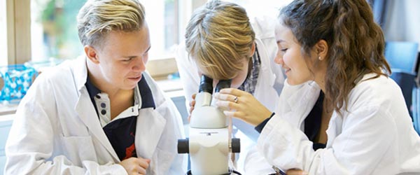 Här hittar du alla våra program inom naturvetenskap och matematik!