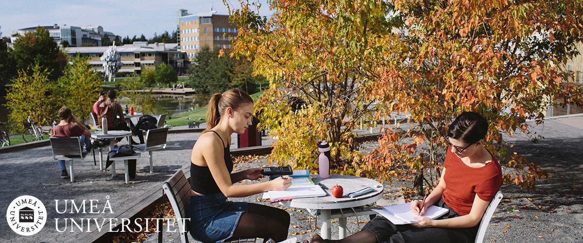 Umeå universitet