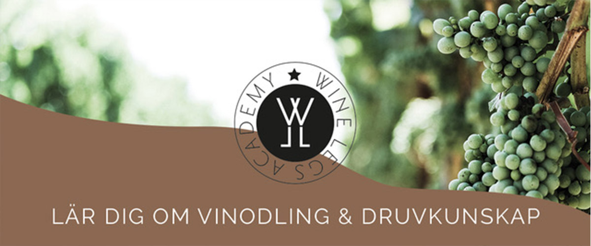 Wine Legs Academy
