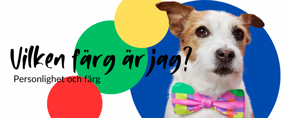 Testa dig själv: Vilken färg är jag?