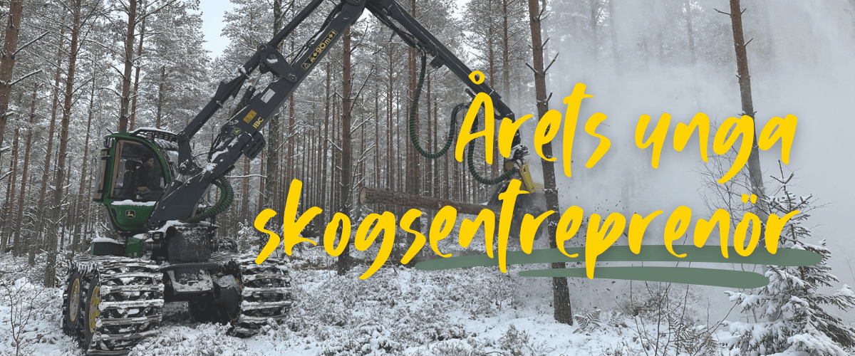 Martin Anderberg – från vedbacken till årets unga skogsentreprenör 2024