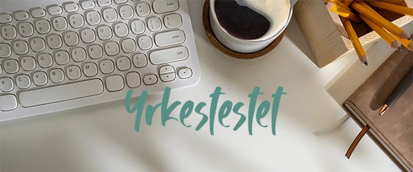 Yrkestestet (1).png