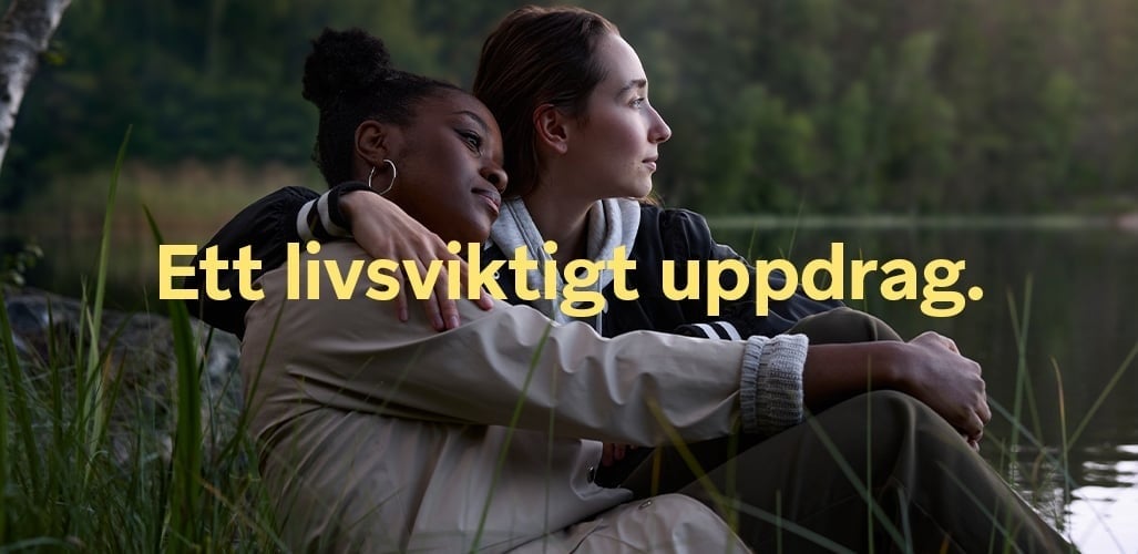 Tamro_Framtid.se_Toppbild_011.jpg
