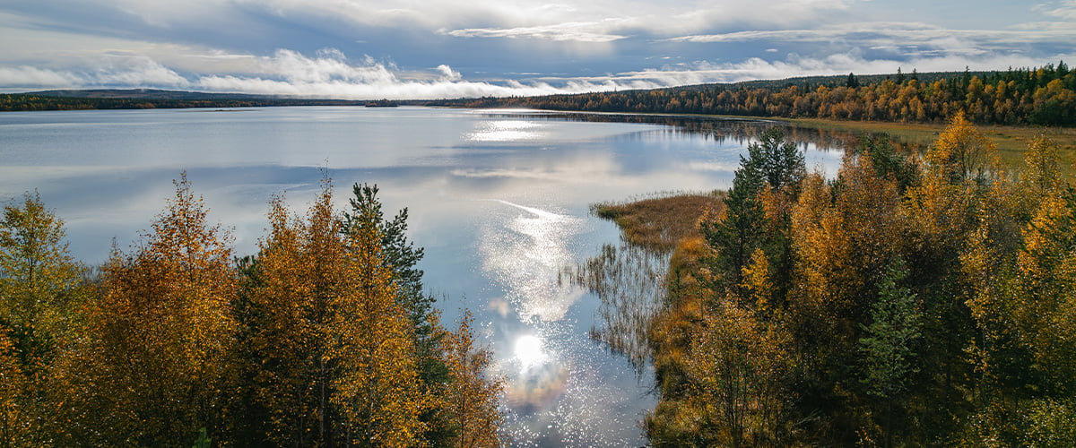 vasterbotten_2026.jpg