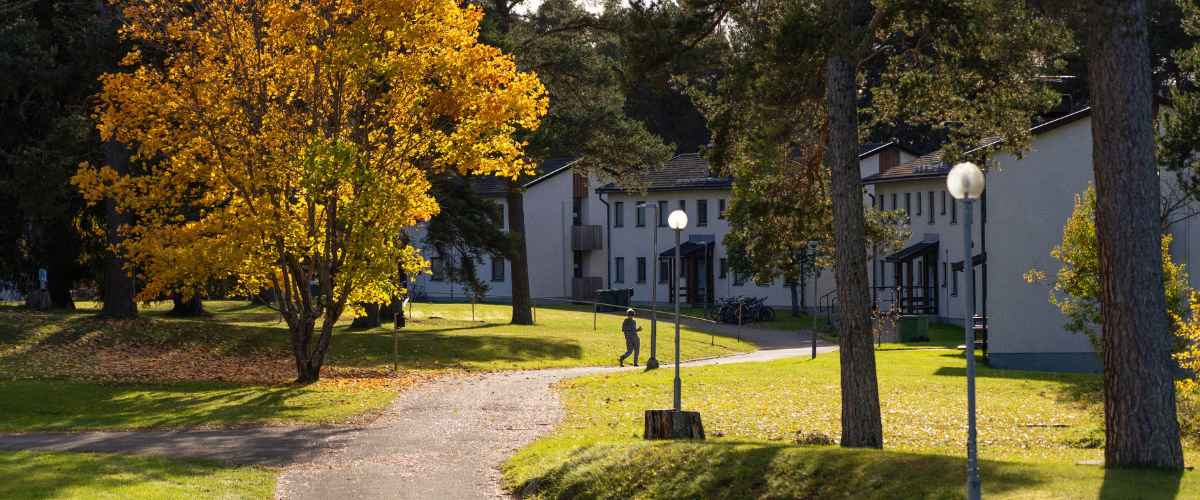 Birka folkhögskola