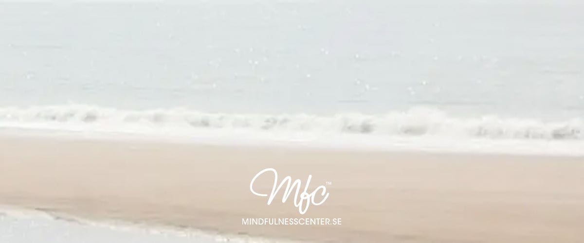 mindfulnes_2026.jpg