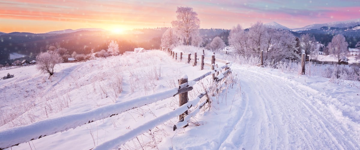 shutterstock_750442531.jpg